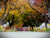 BGSU in the fall (Photo by Mackenzie Lowe)